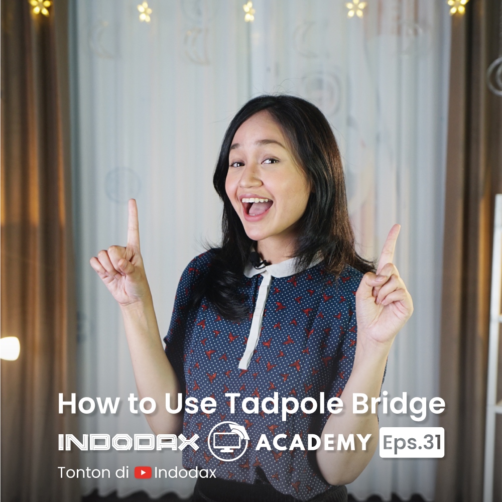 Thumbnail How to Use Tadpole Bridge 2