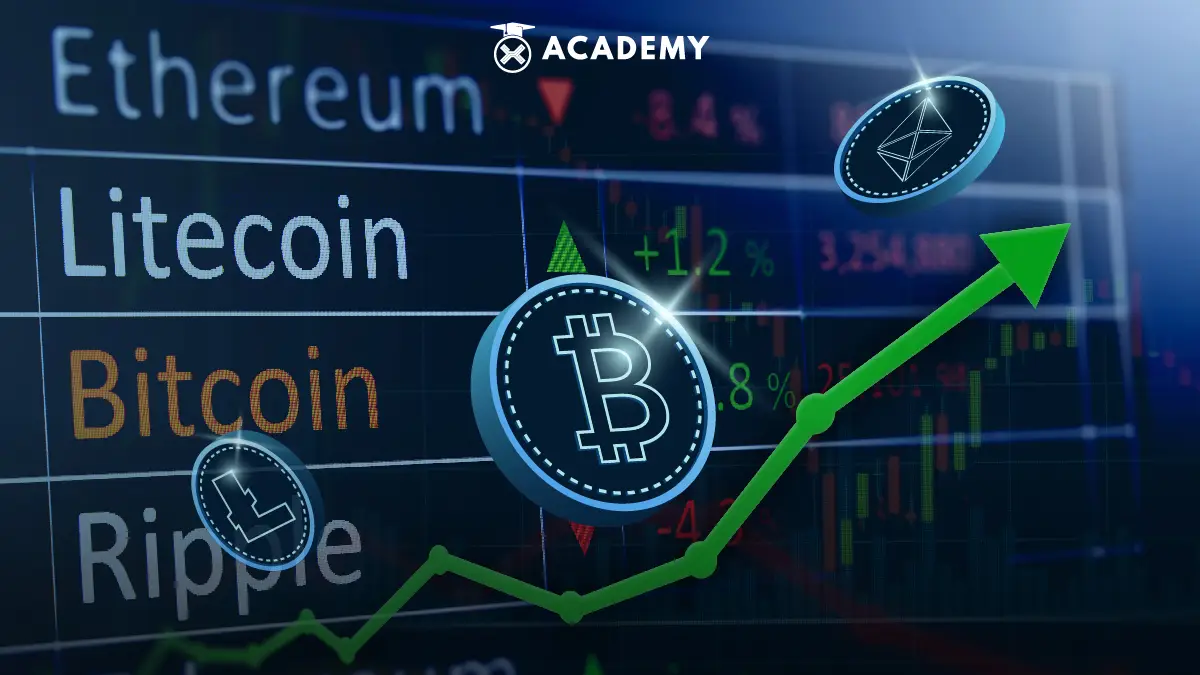 Белорусская биржа криптовалют. Crypto Academy.