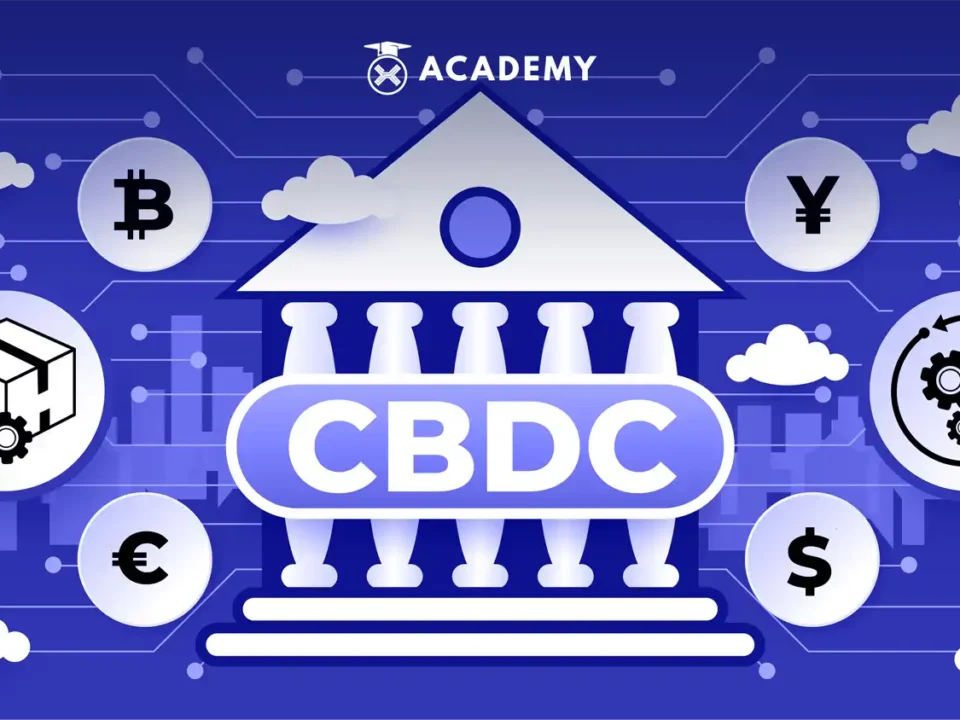 CBDC and Crypto Assets: