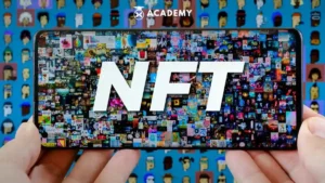 TofuNFT: Seni Digital, Inovasi, dan Nilai Unik di Dunia NFT