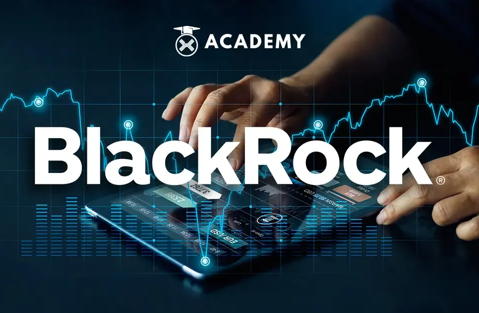 Apa Itu BlackRock dan Pengaruhnya pada Industri Keuangan dan Kripto?