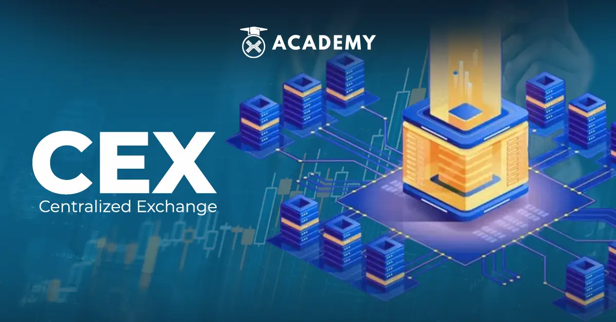 The Difference Between CEX and DEX