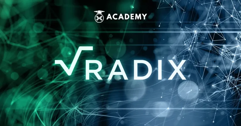 Radix: An Innovative Breakthrough in the World of DeFi