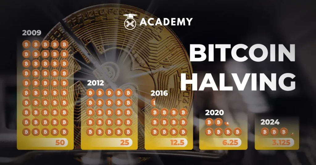 Bitcoin Halving 1