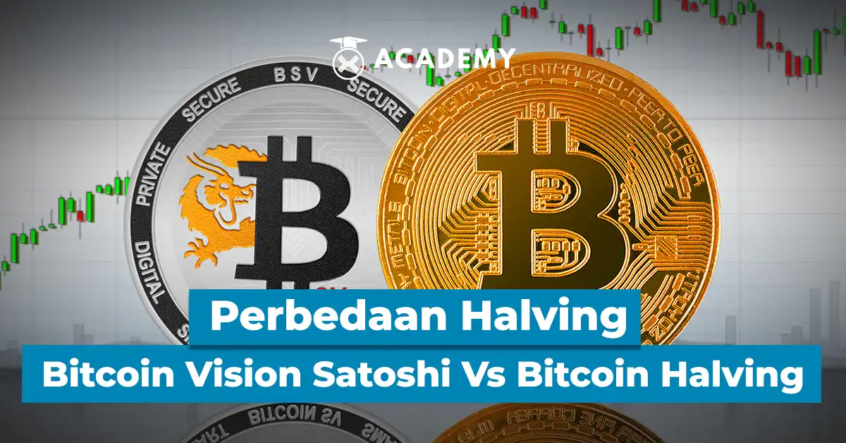 Mengintip Perbedaan Halving Bitcoin Vision Satoshi Vs Bitcoin Halving