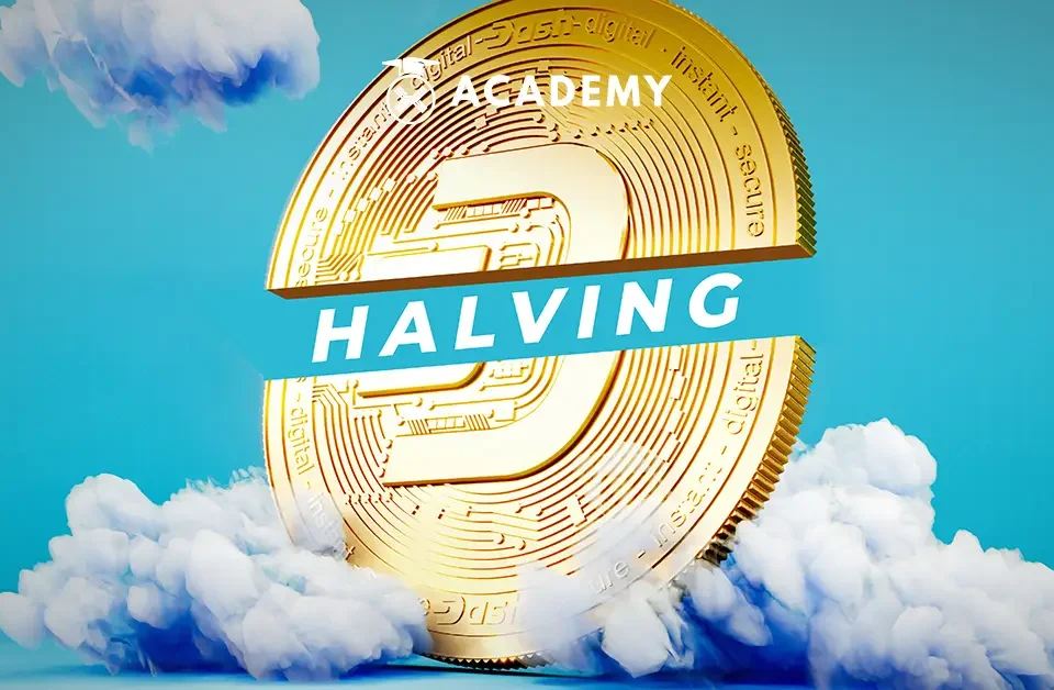 Dash Halving 1