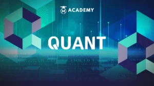 Quant 3