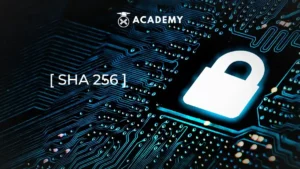 SHA 256 2