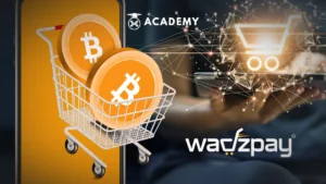 Wadzpay 2