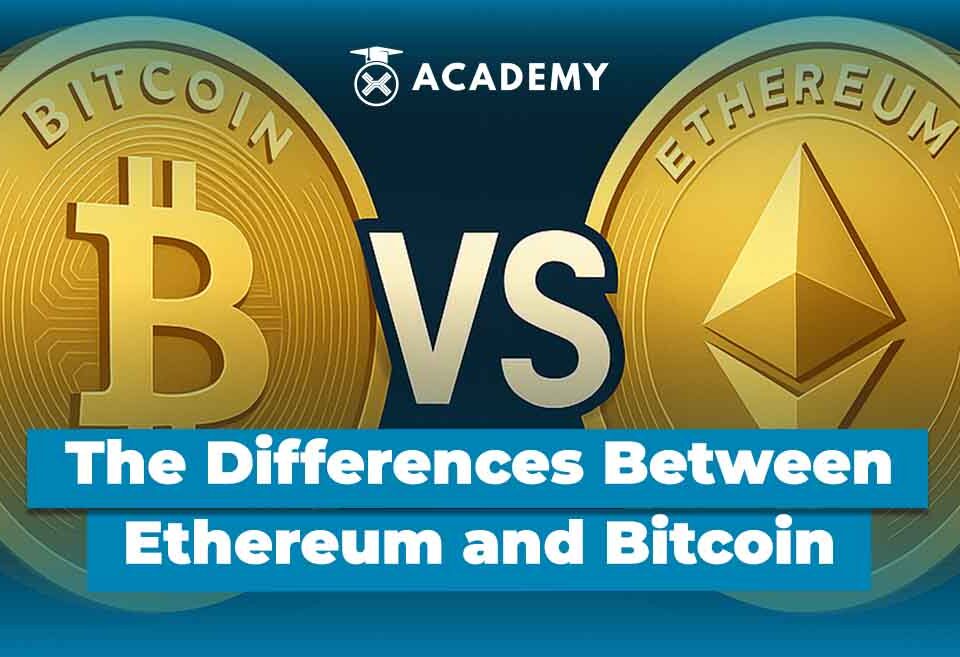 This is The Differences Between Bitcoin vs Ethereum, Which One to Choose?