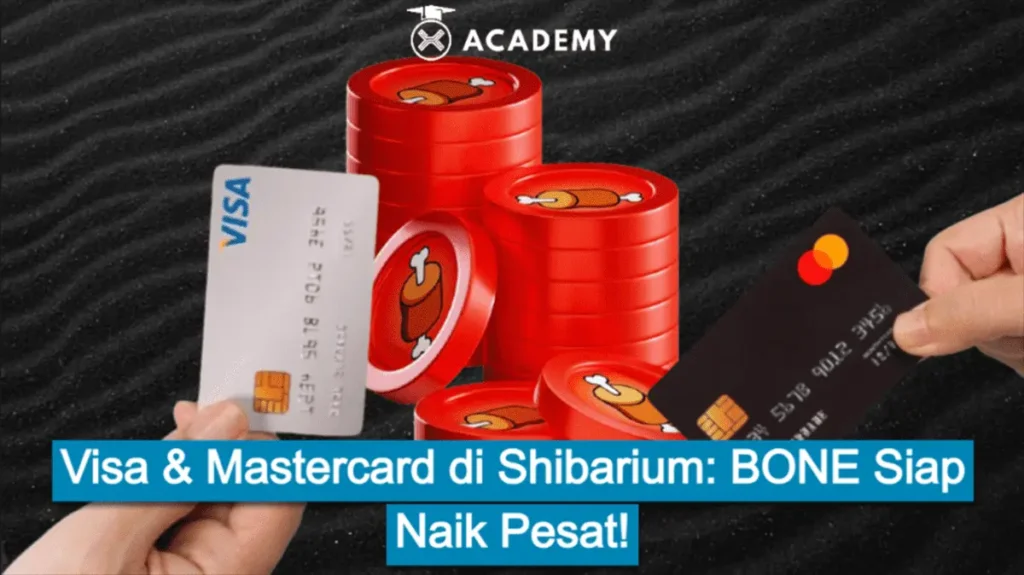 Visa & Mastercard di Shibarium: