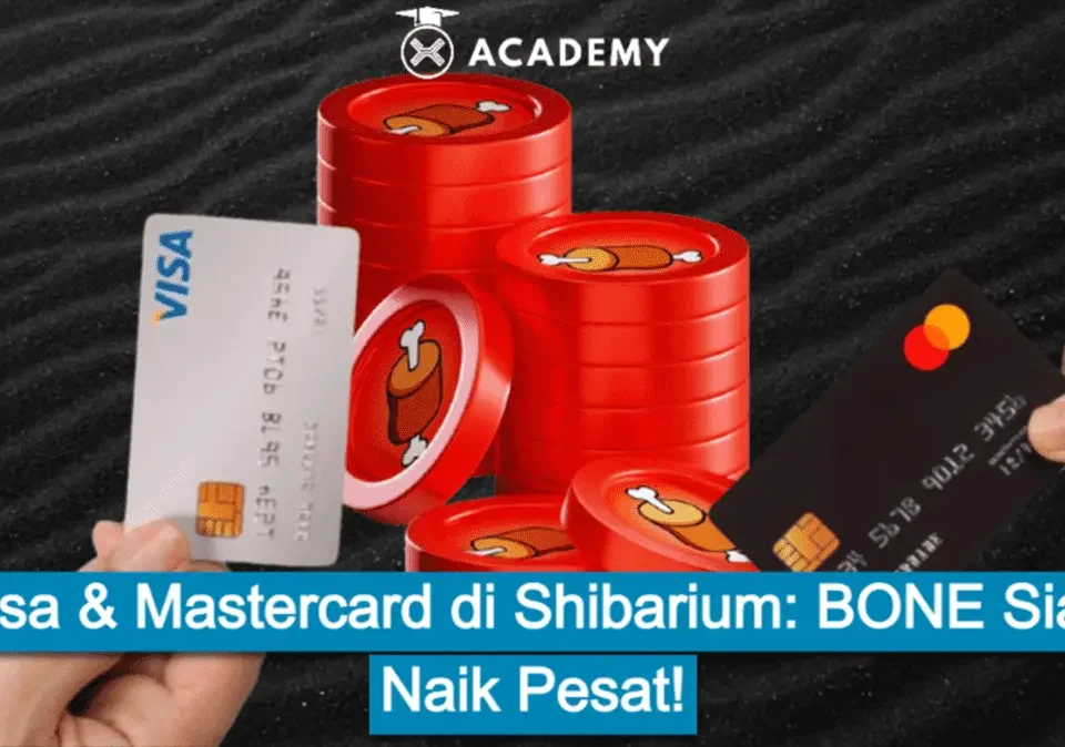 Visa & Mastercard di Shibarium: