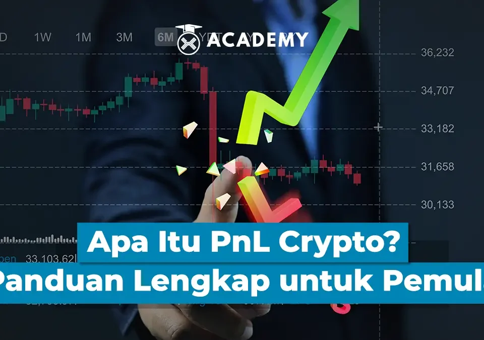 PNL 1