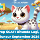 Airdrop $CATI Ditunda Lagi, Siap Meluncur September 2024 ini