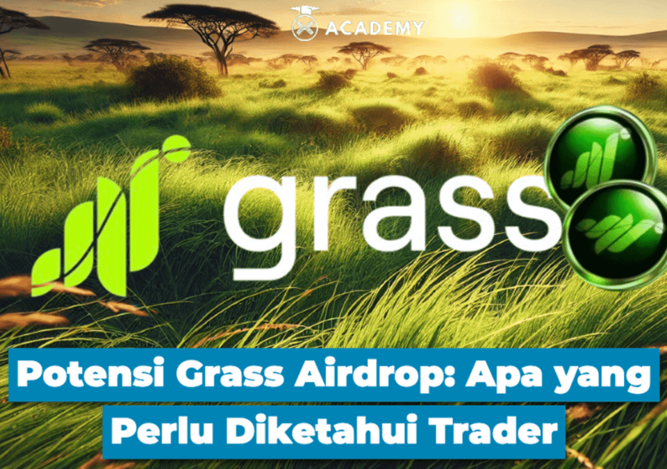 Potensi Grass Airdrop: Apa yang Perlu Diketahui Trader