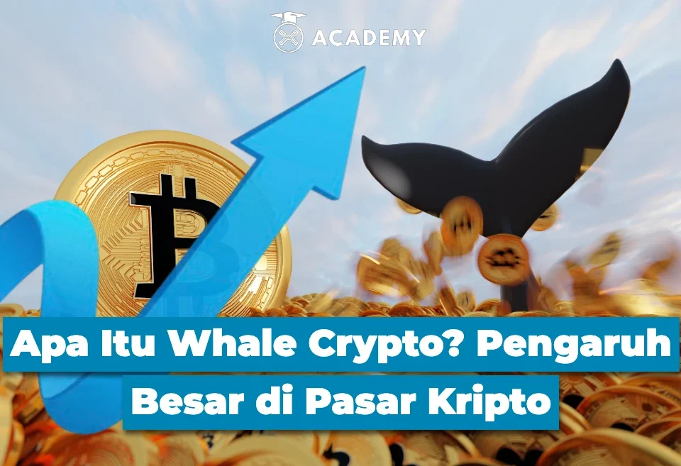 Apa Itu Whale Crypto Pengaruh Besar di Pasar Kripto