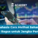 Rahasia Cara Melihat Saham yang Bagus untuk Jangka Panjang untuk Pemula