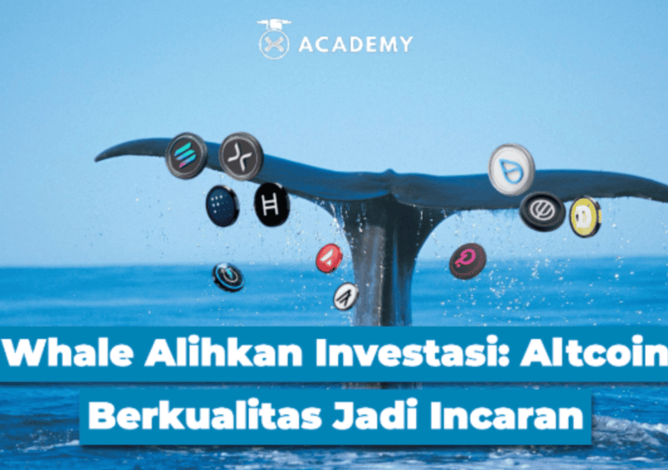 Whale Alihkan Investasi: Altcoin Berkualitas Jadi Incaran
