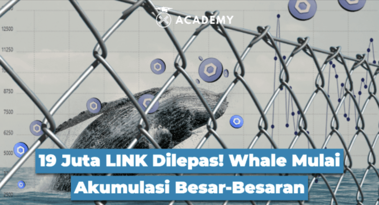 19 Juta Chainlink Dilepas! Whale Mulai Akumulasi Besar-Besaran