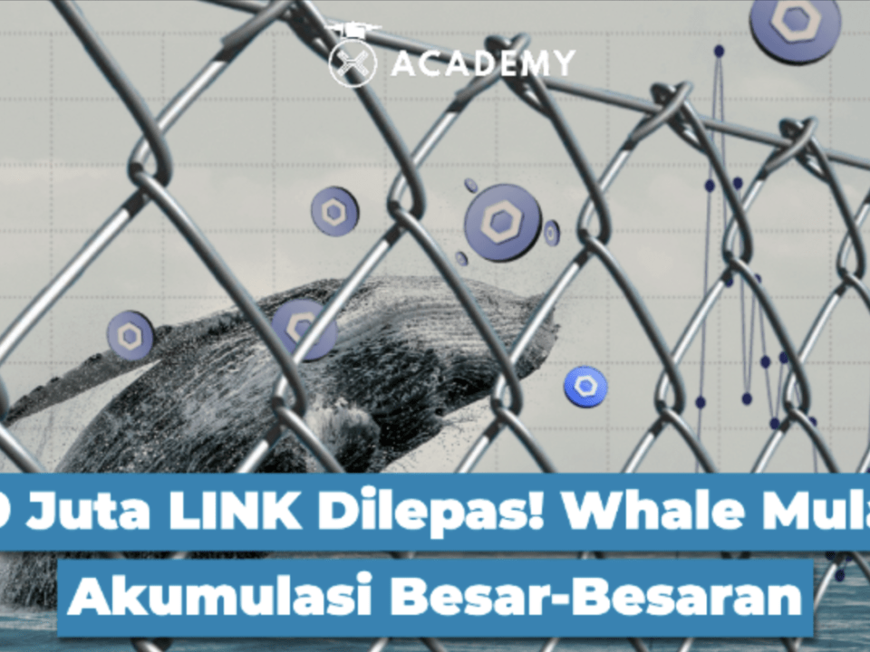 19 Juta LINK Dilepas! Whale Mulai Akumulasi Besar-Besaran