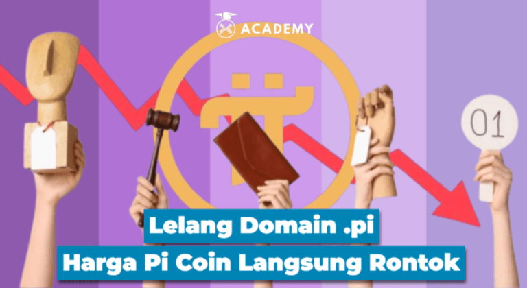 Lelang Domain Pi Network Pecah, Harga Coin Langsung Rontok