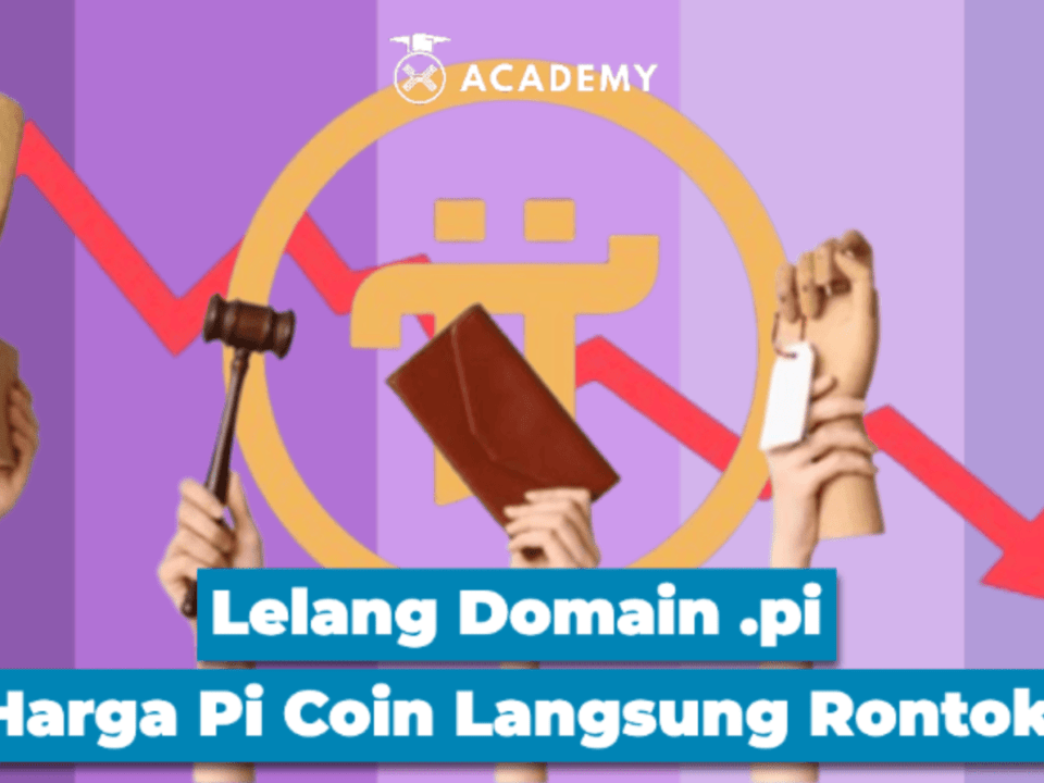 Lelang Domain Pi Network Pecah, Harga Coin Langsung Rontok