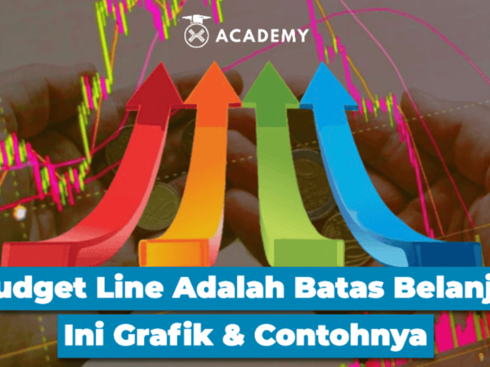 Budget Line Adalah Batas Belanja, Ini Grafik & Contohnya