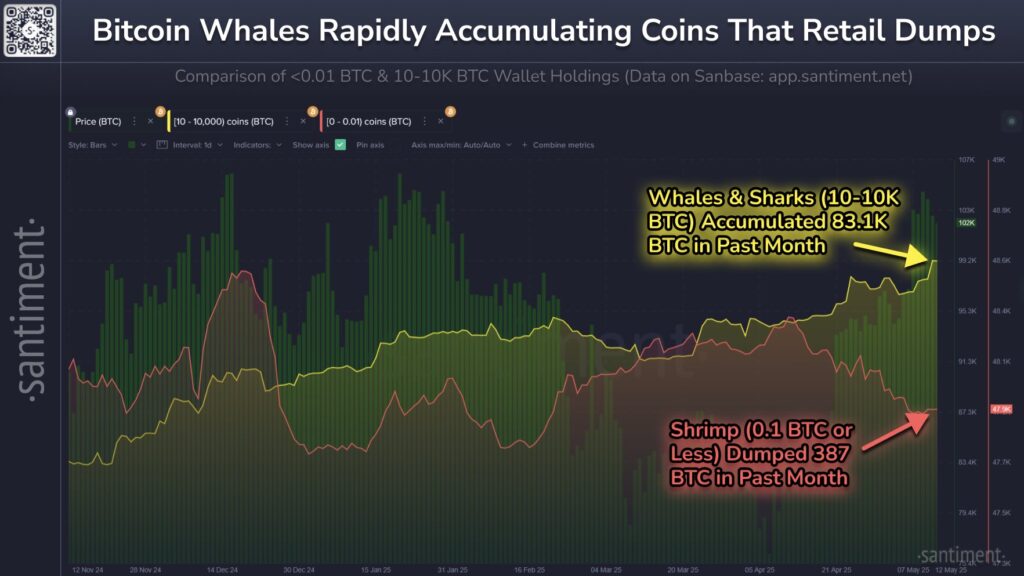 Whale Makin Aktif, Retail Malah Lepas Aset Whale Makin Aktif, Retail Malah Lepas Aset