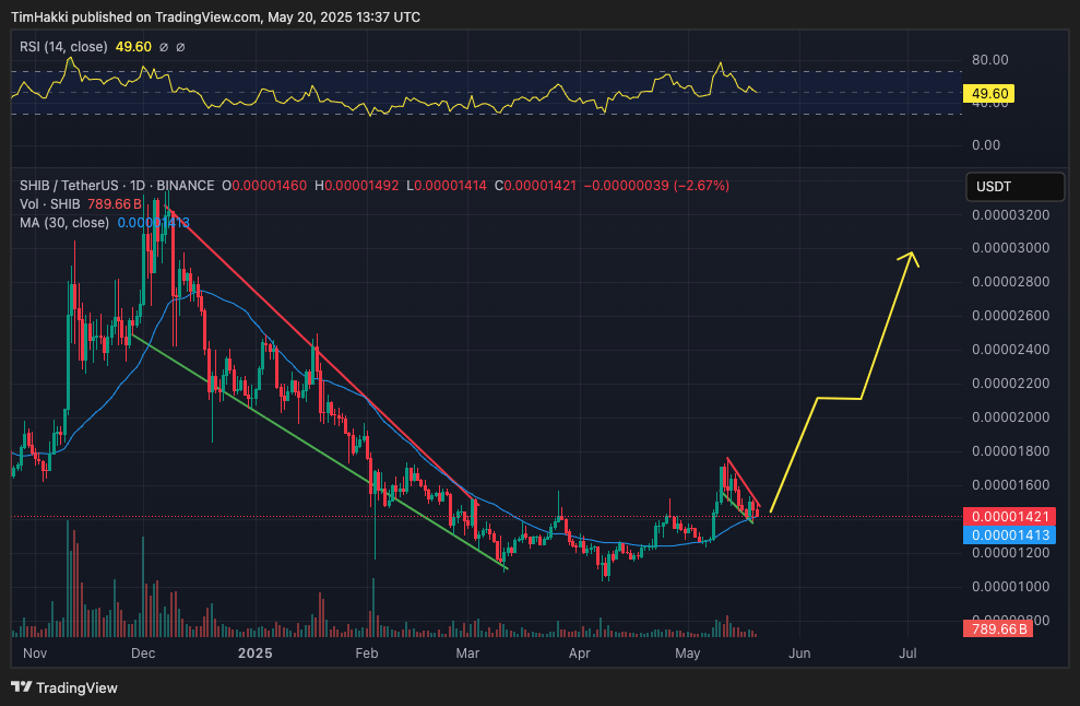 SHIB Tunjukkan Kekuatan: Pola Bullish Muncul Jelas