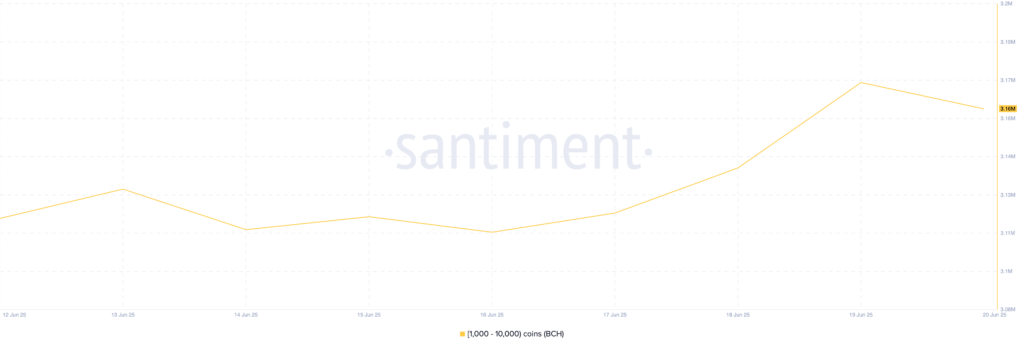 Bitcoin Cash (BCH) Bitcoin Cash (BCH)