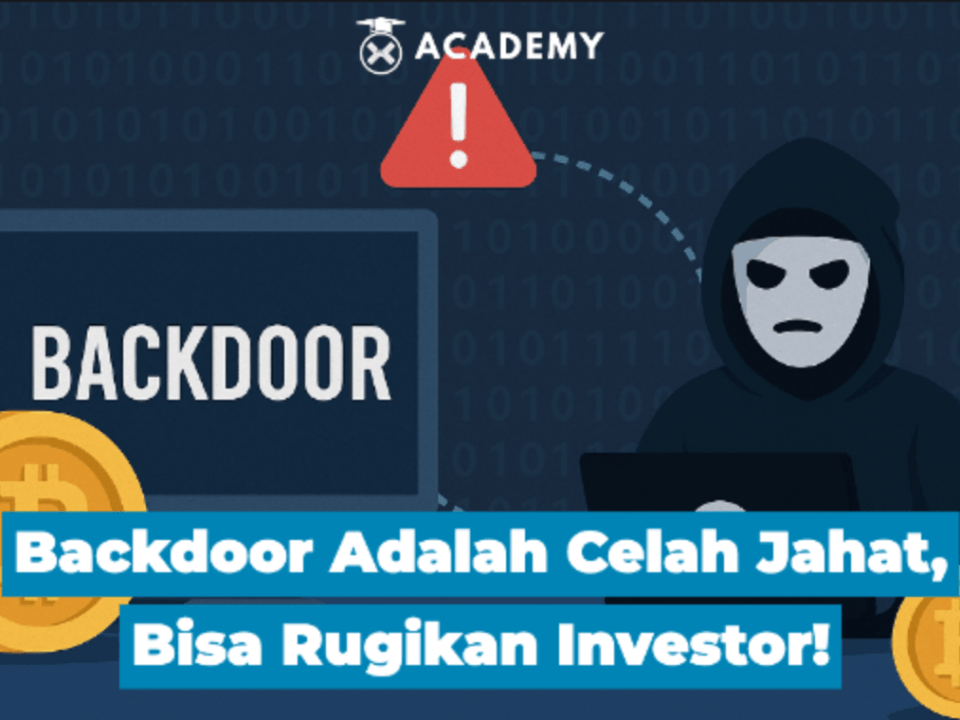 Backdoor Adalah Celah Jahat, Bisa Rugikan Investor? Ini Cara Mencegahnya!