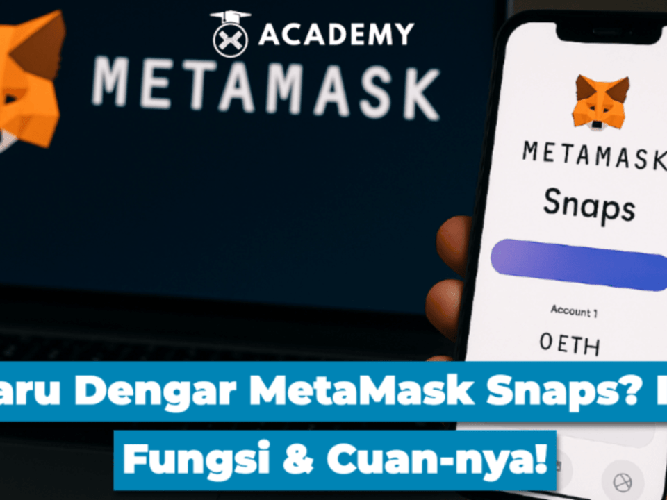 Baru Dengar MetaMask Snaps? Ini Fungsi & Cuan-nya!