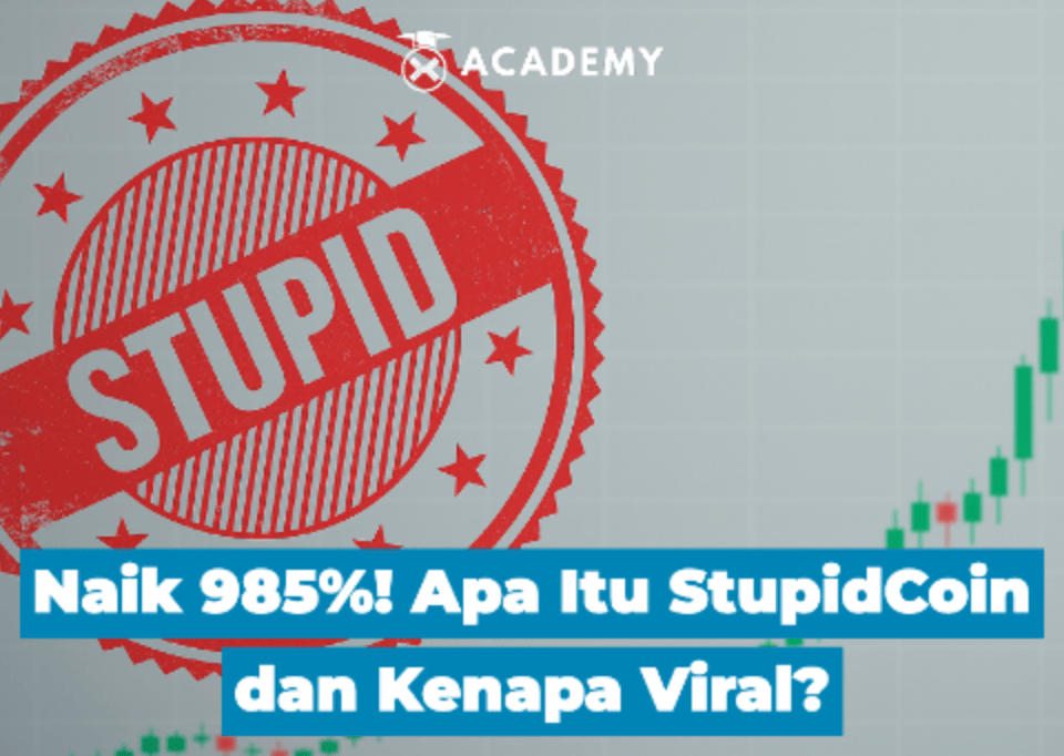 Naik 985%! Apa Itu StupidCoin dan Kenapa Viral?