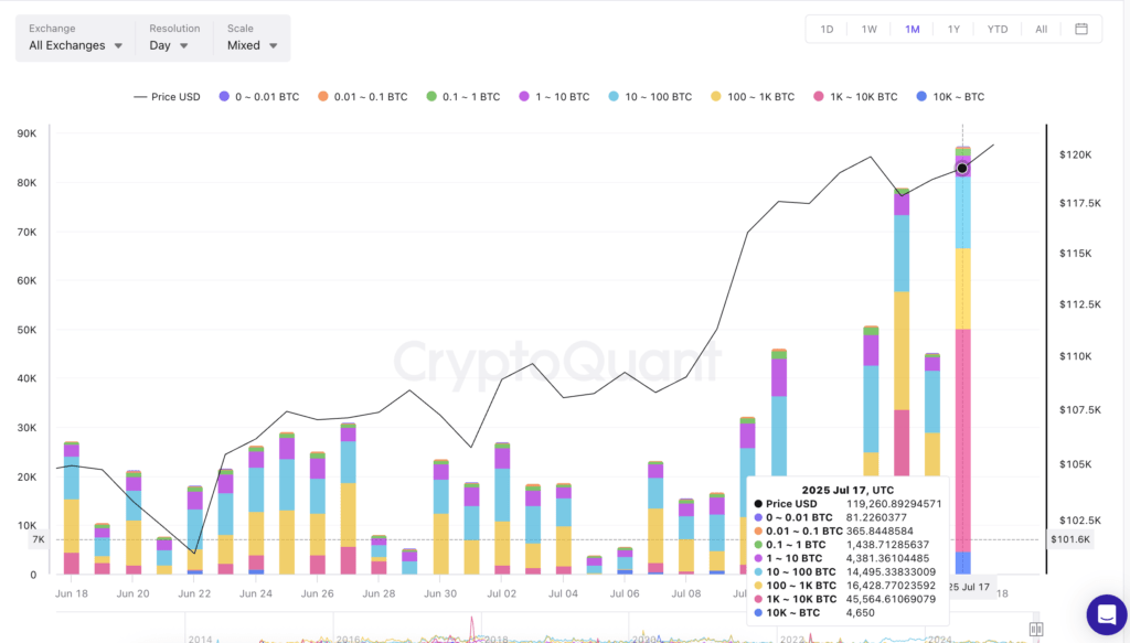 Grafik Harga BTC dan Whale Inflow Grafik Harga BTC dan Whale Inflow