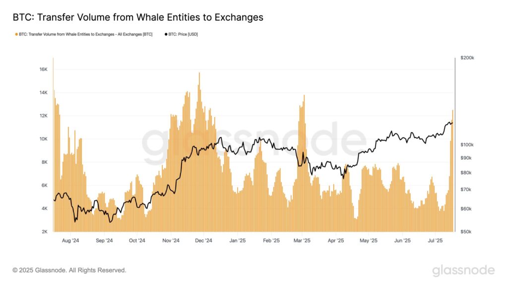 Bitcoin Whale Transfers Volume