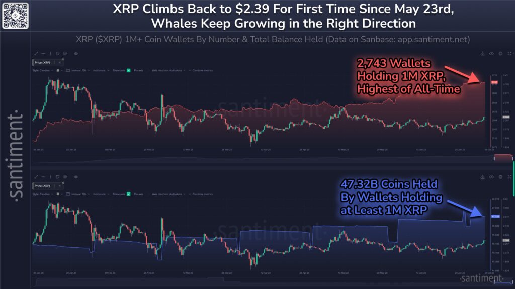 Ribuan Wallet Whale Kuasai 47 Miliar XRP Ribuan Wallet Whale Kuasai 47 Miliar XRP
