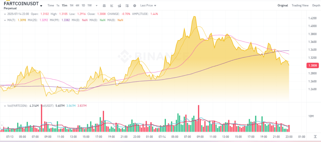 FARTCOIN FARTCOIN