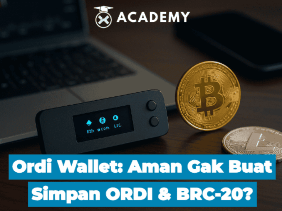 Review Ordi Wallet 2025: Aman Gak Buat Simpan ORDI & BRC-20?
