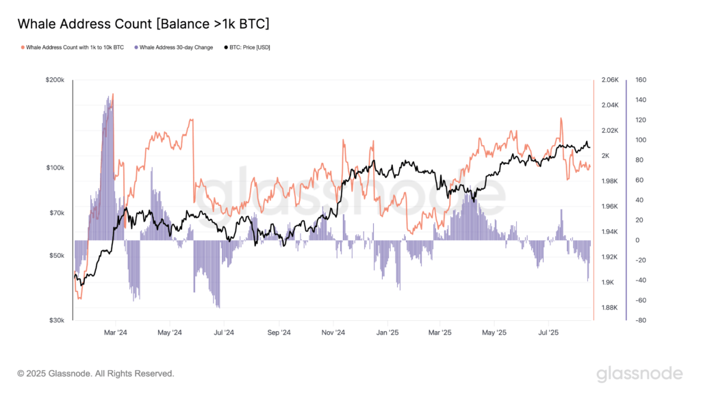 BTC 1K BTC 1K