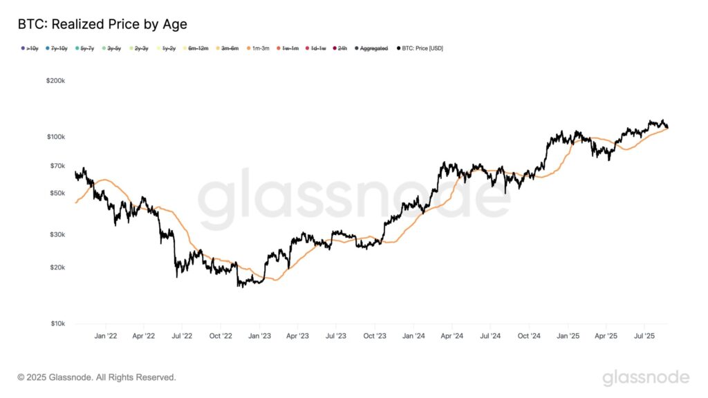 BTC Realized Price by Age BTC Realized Price by Age