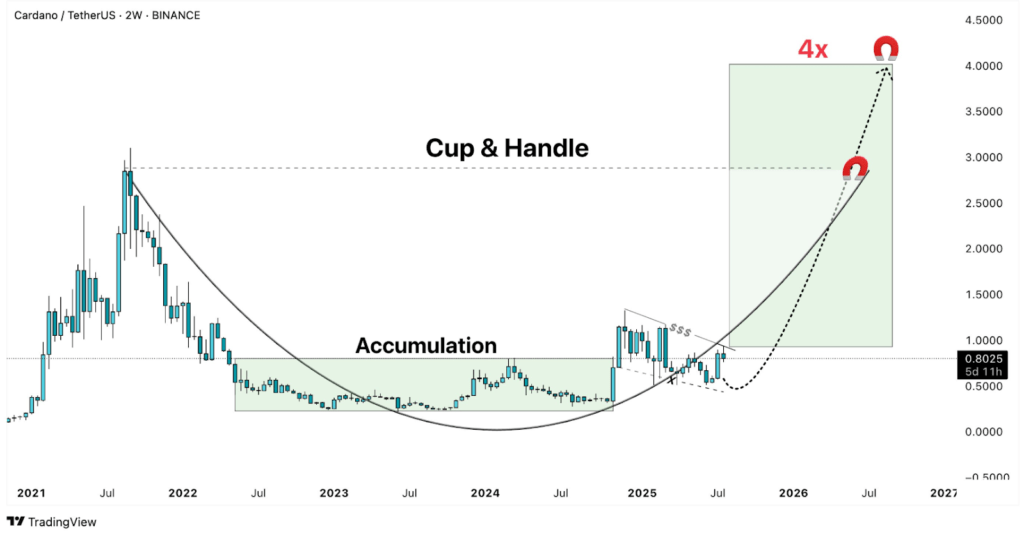 Cardano Cup & Handle Cardano Cup & Handle