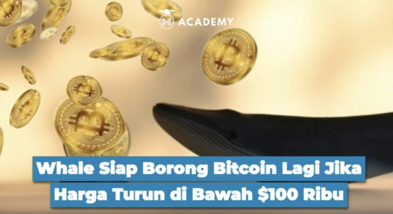 Whale Siap Borong Bitcoin Lagi Jika Harga Turun di Bawah $100 Ribu