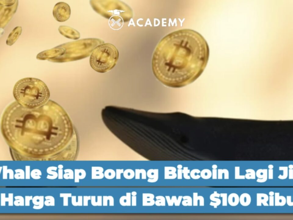 Whale Siap Borong Bitcoin Lagi Jika Harga Turun di Bawah $100 Ribu