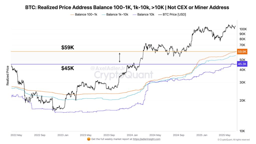 Whale BTC Whale BTC