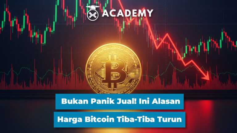 Bukan Panik Jual! Ini Alasan Harga Bitcoin Tiba-Tiba Turun