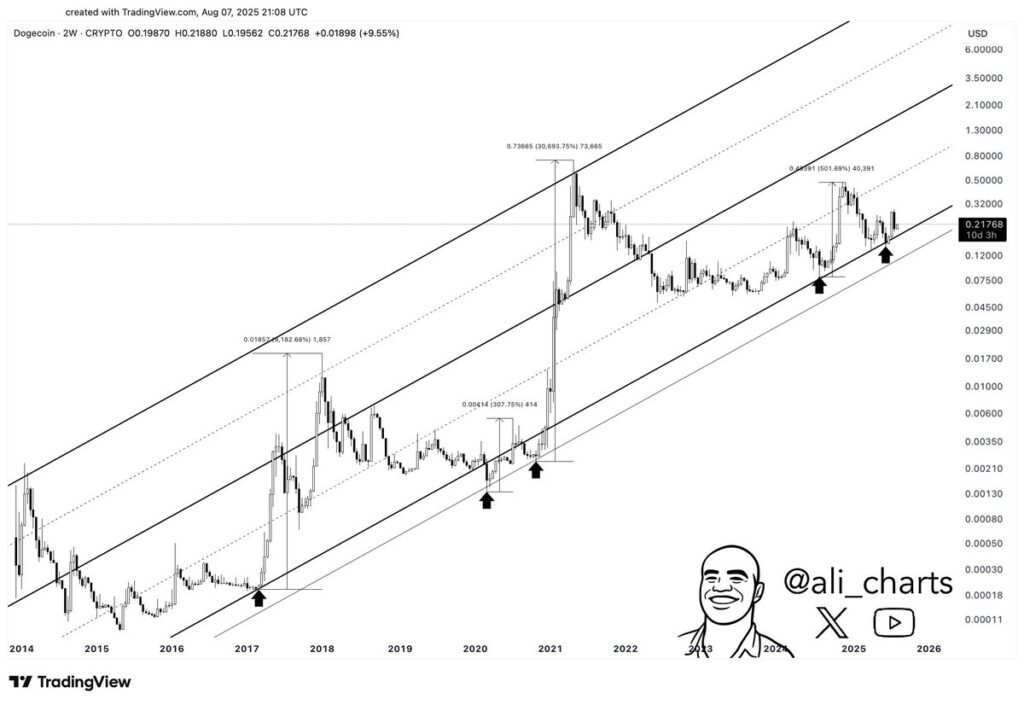 Key DOGE price fractal Key DOGE price fractal