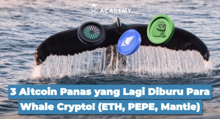 3 Altcoin Panas yang Lagi Diburu Para Whale Crypto!
