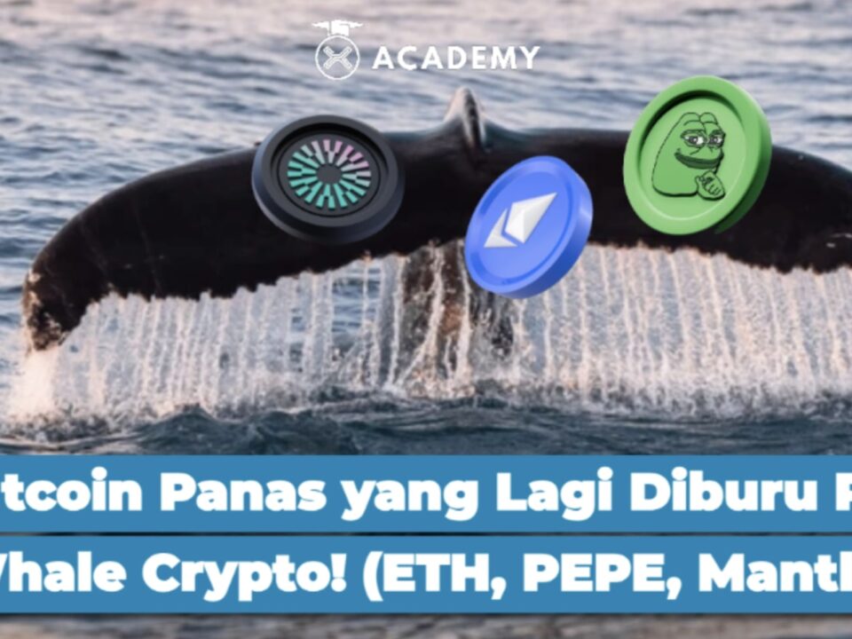 3 Altcoin Panas yang Lagi Diburu Para Whale Crypto!