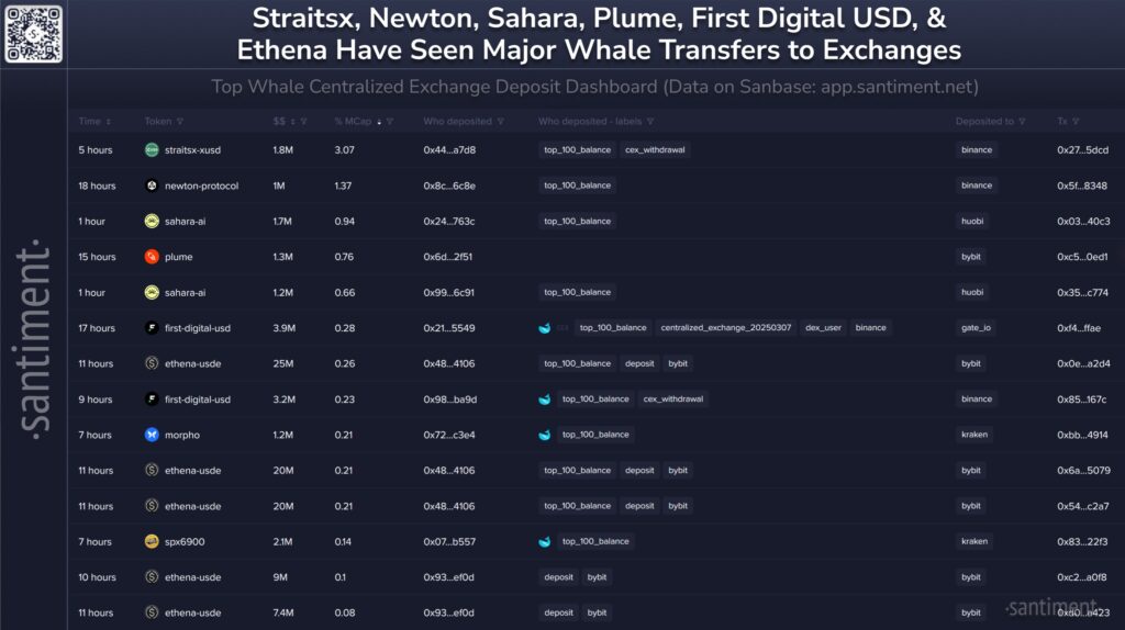 Whale Altcoin Whale Altcoin