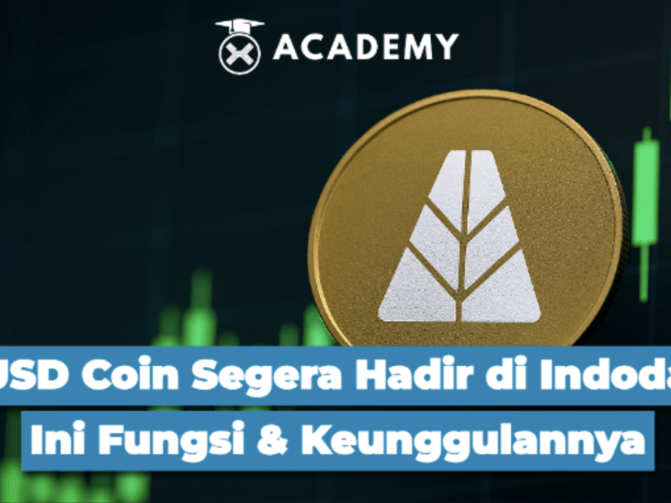 Apa Itu AUSD Coin? Stablecoin Canggih yang Akan Hadir di Indodax!